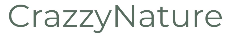 Crazzy nature logo